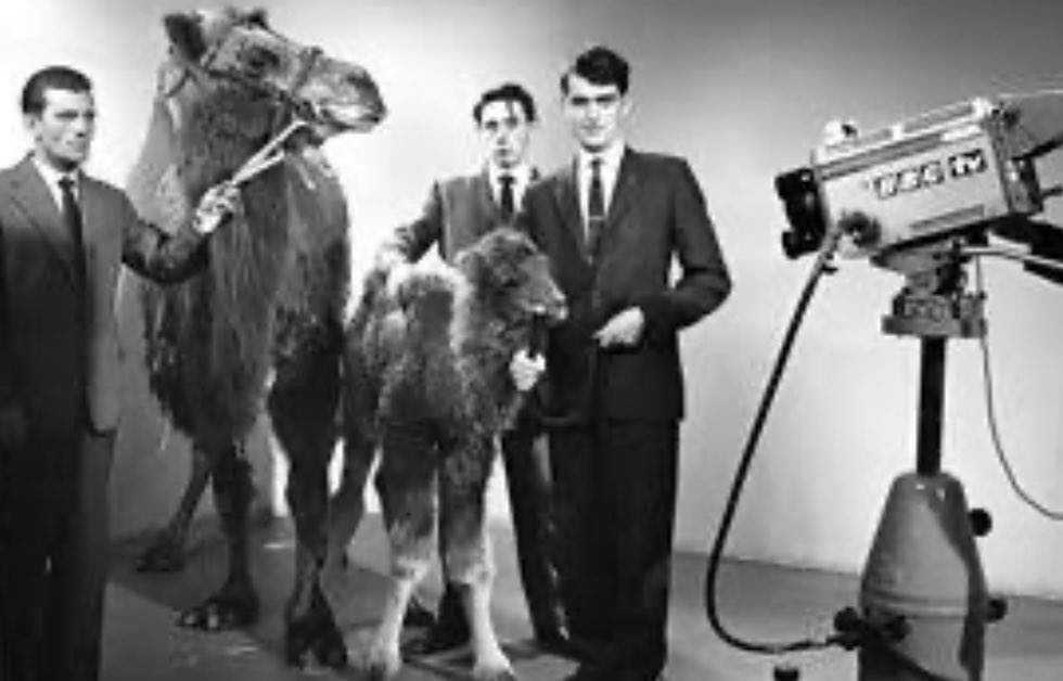 Andy Bell tweet media