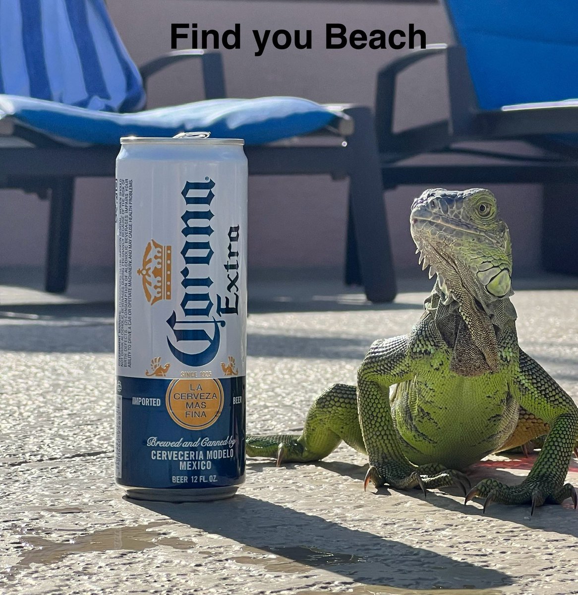 Bobby_Bombs's tweet photo. @CoronaUSA https://t.co/C8rWG0xVwn