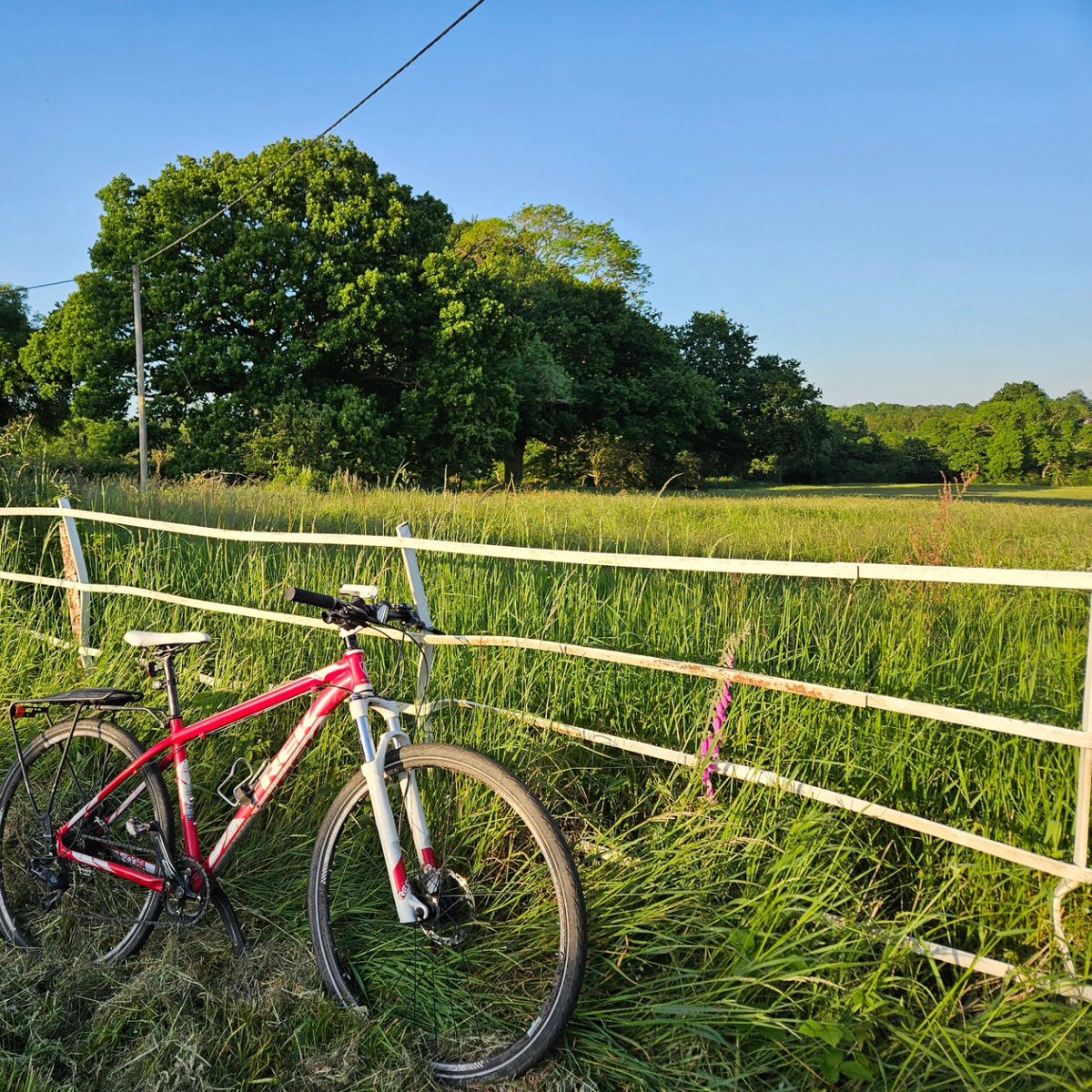 cathfenn's tweet photo. Great day to be out on the bike exploring country lanes.
#30DaysWild #CyclingLife #GettingOutandAbout #ActiveTravel https://t.co/4ylZIYZpJx