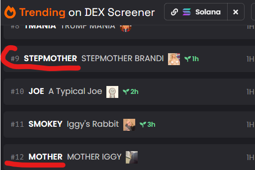 stepmothersol's tweet photo. The big flip happening already. Rotate your $MOTHER profits into #STEPMOTHER.

Thank @brandi_love later.

https://t.co/p3qkElVCUU https://t.co/PHHAaqgY5m