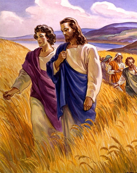 ✝️ EVANGELHO DO DIA - 02/06/2024

Mc 2,23-3,6

23 Jesus estava passando por uns campos de trigo, em dia de sábado. Seus discípulos começaram a arrancar espigas, enquanto caminhavam.

24 Então os fariseus disseram a Jesus: “Olha! Por que eles fazem em dia de sábado o que não é