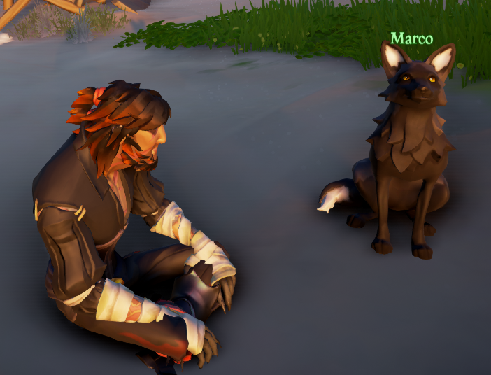 MarbleFox tweet media