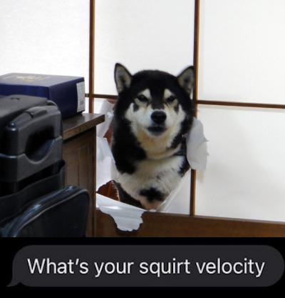 IncrediblySlow's tweet photo. @4Kittychan4 https://t.co/I2lvg95g2R