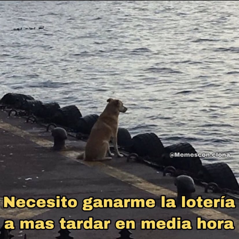🌙 mini textos (@soyminitextos) on Twitter photo 