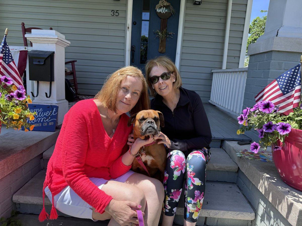Annie, our #Turkey girl from 1 month ago, found her family! Annie will be joining two boxer brothers from Istanbul . She will now be a #Bostonian . Happy life sweet girl. #boxerdogs #turkeydogs #rescuedog #boxerdoglovers #family #dogs #happylife #petsarefamily