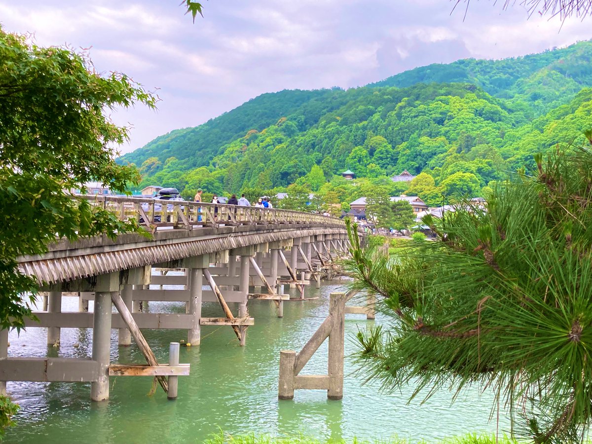 katayan1205's tweet photo. 通勤途中。雨上がりの嵐山渡月橋。 https://t.co/pstPfnm4v5
