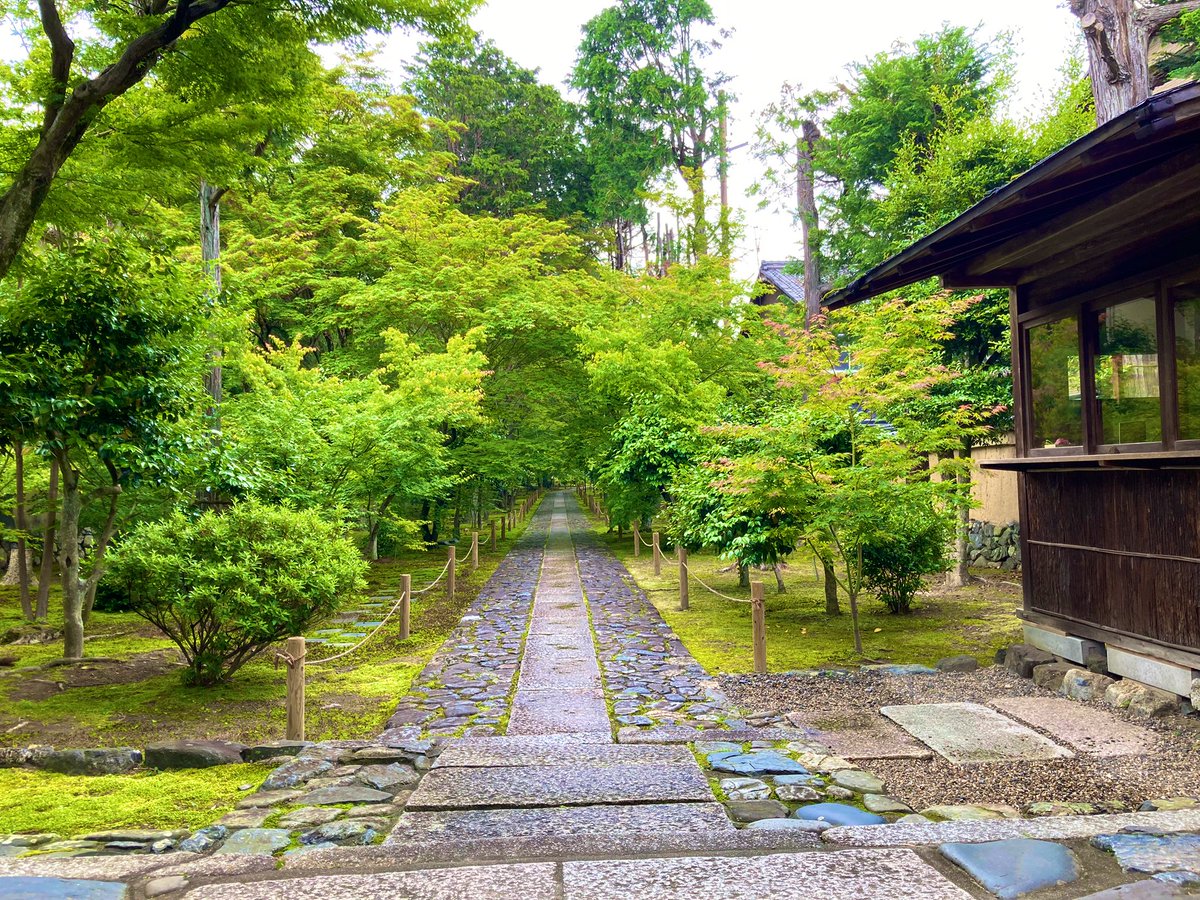katayan1205's tweet photo. 通勤途中。雨上がりの嵐山渡月橋。 https://t.co/pstPfnm4v5