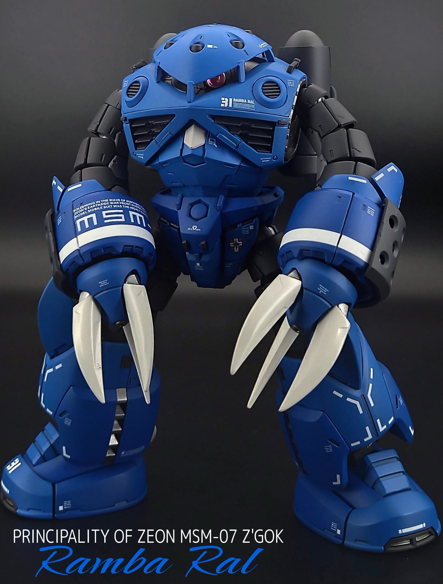 MG MS-07S ランバ・ラル専用ズゴック - メルカリ