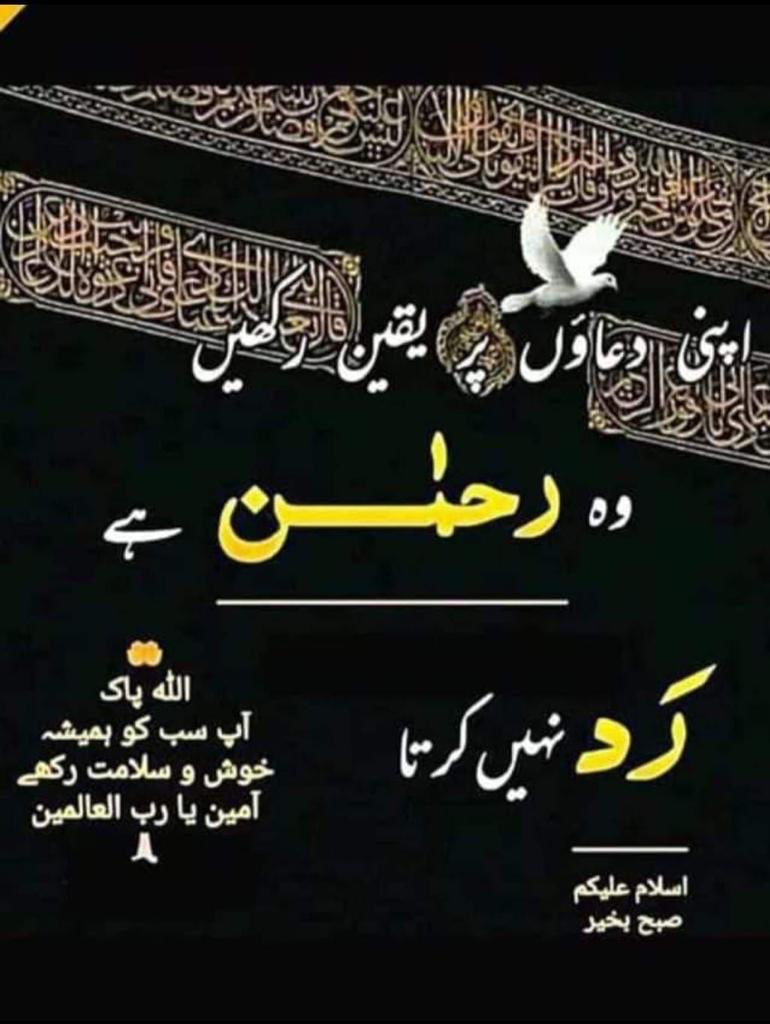 اسلام علیکم 😇
صبح بخیر💞
#X_promo