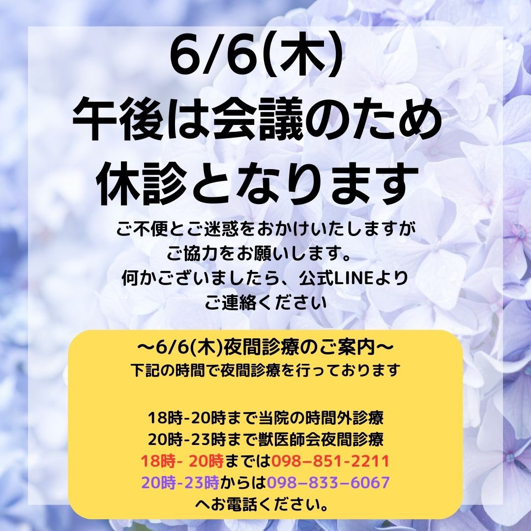 ramec2007's tweet photo. 🐱休診日と夜間診療のお知らせ🐶🩺
6/6(木)は会議のため、午後休診とさせていただきます🙇‍♀️
また18時より夜間診療を行っておりますので、時間と問い合わせ番号につきましては資料をご覧下さい。
お問い合わせはLINEにてご連絡お願い致します。
ご不便、ご迷惑をおかけしますがよろしくお願いします。 https://t.co/6BWqEUAPzR
