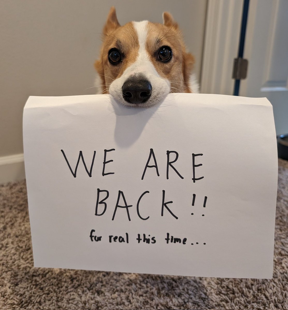Ollie has an important announcement to make. First stream back this Sunday 6/2!