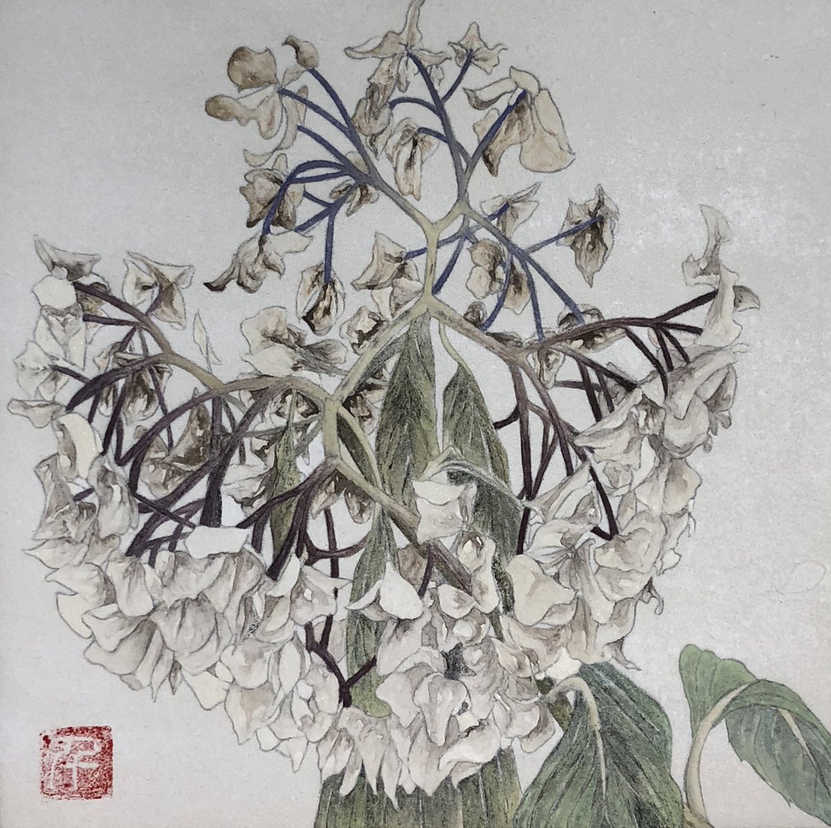 mic_create's tweet photo. #あなたの紫陽花見せてください
昔描いたやつ〜 https://t.co/8ulUl4hsZ5