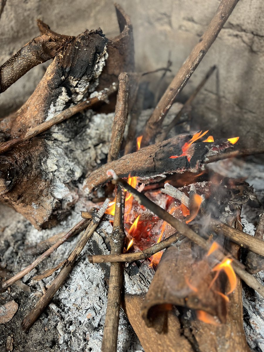 Mercy_GJee's tweet photo. Marega a ma Serious for some Political Professionals. Stock more wood please Comrades. #mayibuye_njalo #mayibuye_iafrica https://t.co/PBhnU6hrrn
