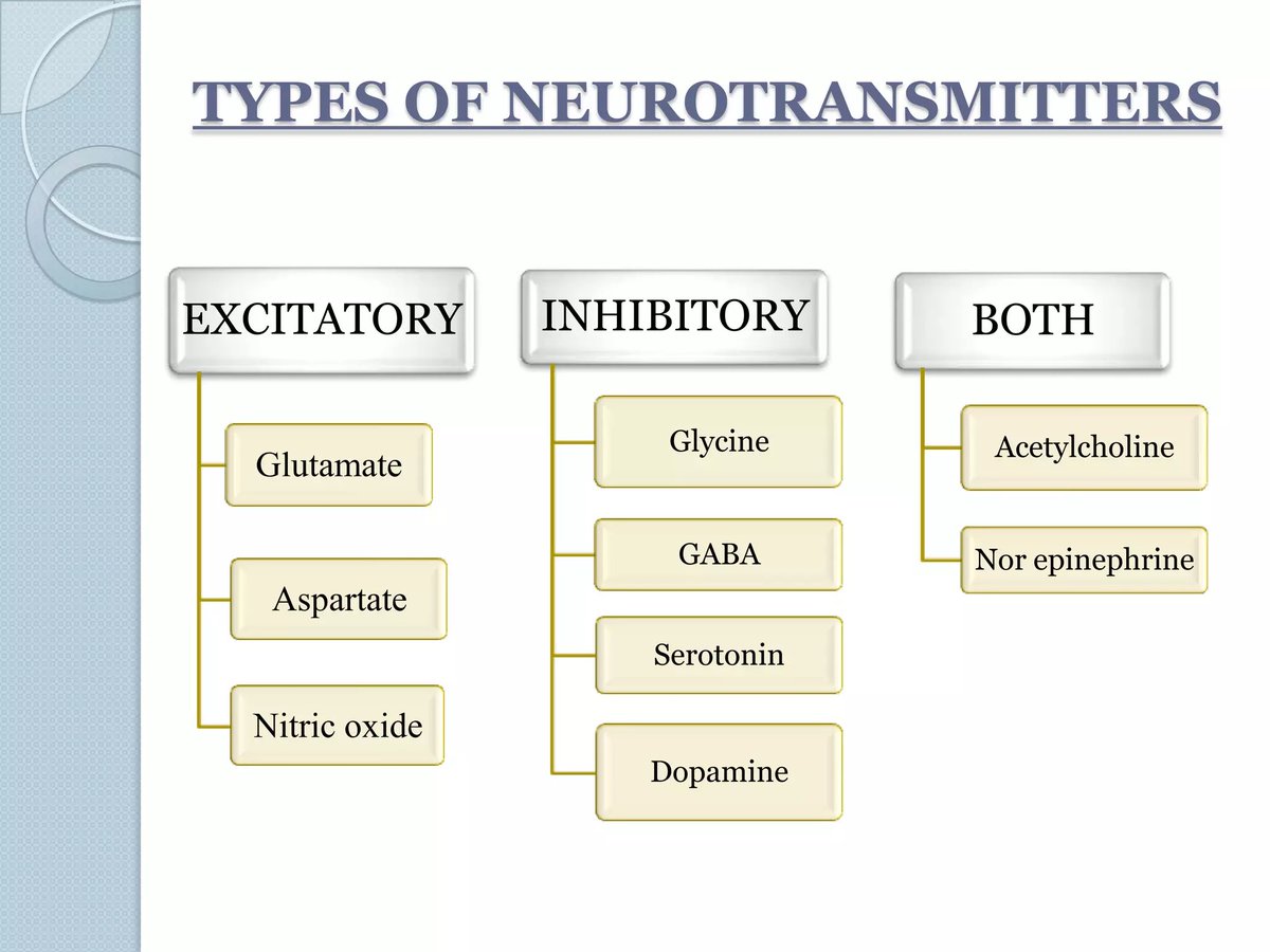 📌 Types of neurotransmitters