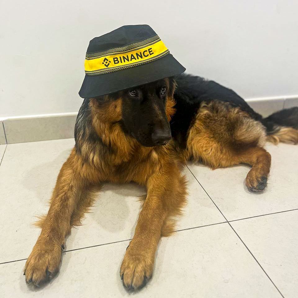 #Binance dawwwwg