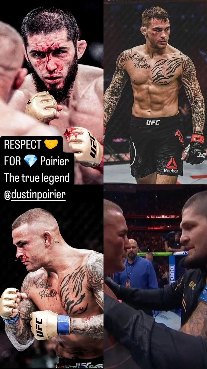 MMA guy tweet media