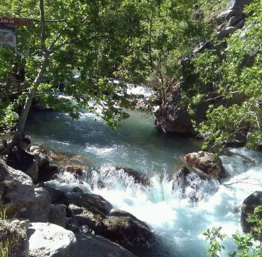 Milet rurst samimi gerçekten doğal kedini bilen isnlar bize evett diyemiyor milet önüne gelenle oluş bizim olmasa olmazım ağır geliyor