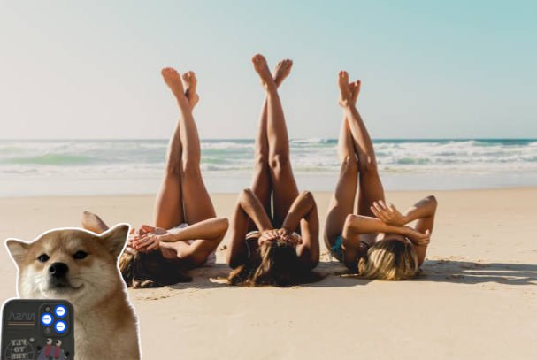basedselfiedog's tweet photo. Gm dogs. Wanna selfie with this beautiful view? 🐶 Come and join us! 

https://t.co/rwZ6SKY5J7 https://t.co/ZDHTaCatdJ