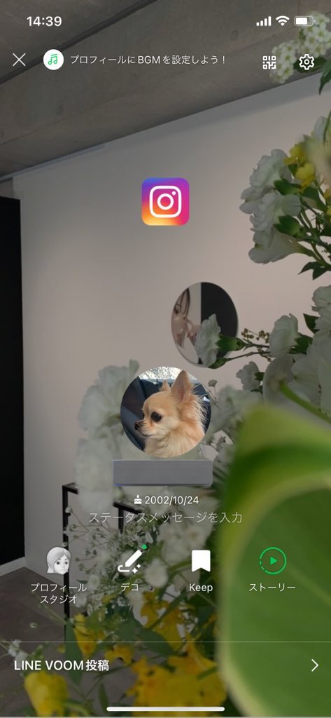 azumarillch's tweet image. #paytowin