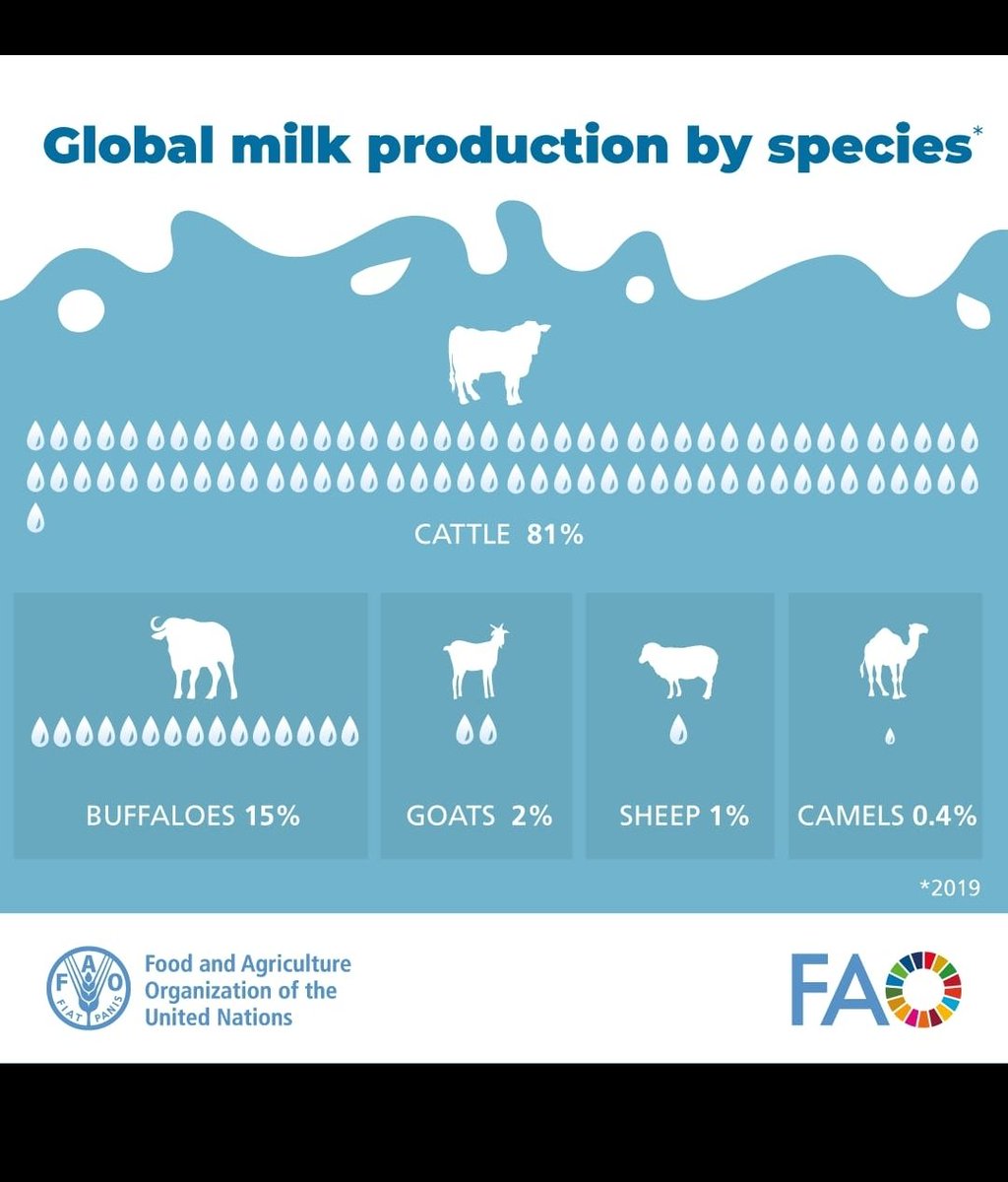 Global milk production by species.... #Milkproduction #animalhusbandry #FAO
