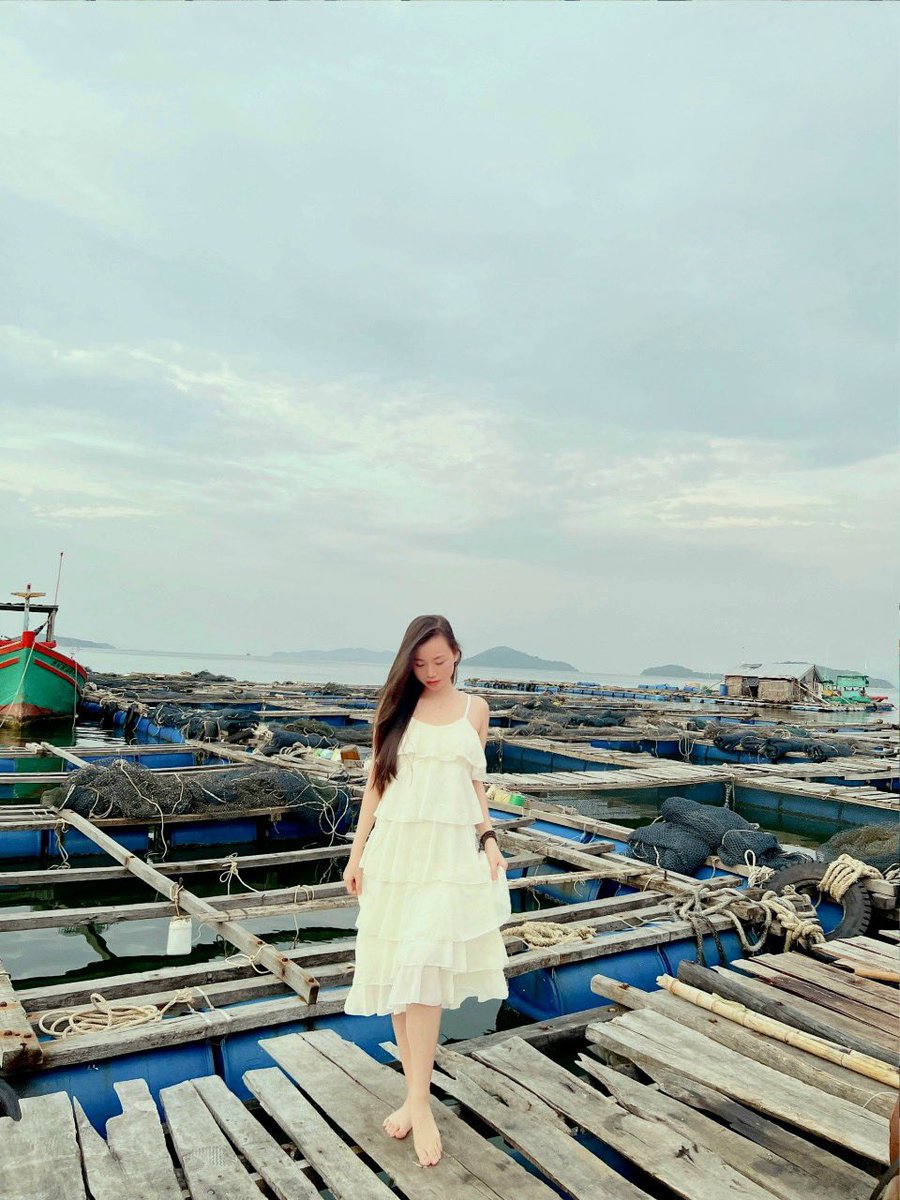 Muội Muội tweet media