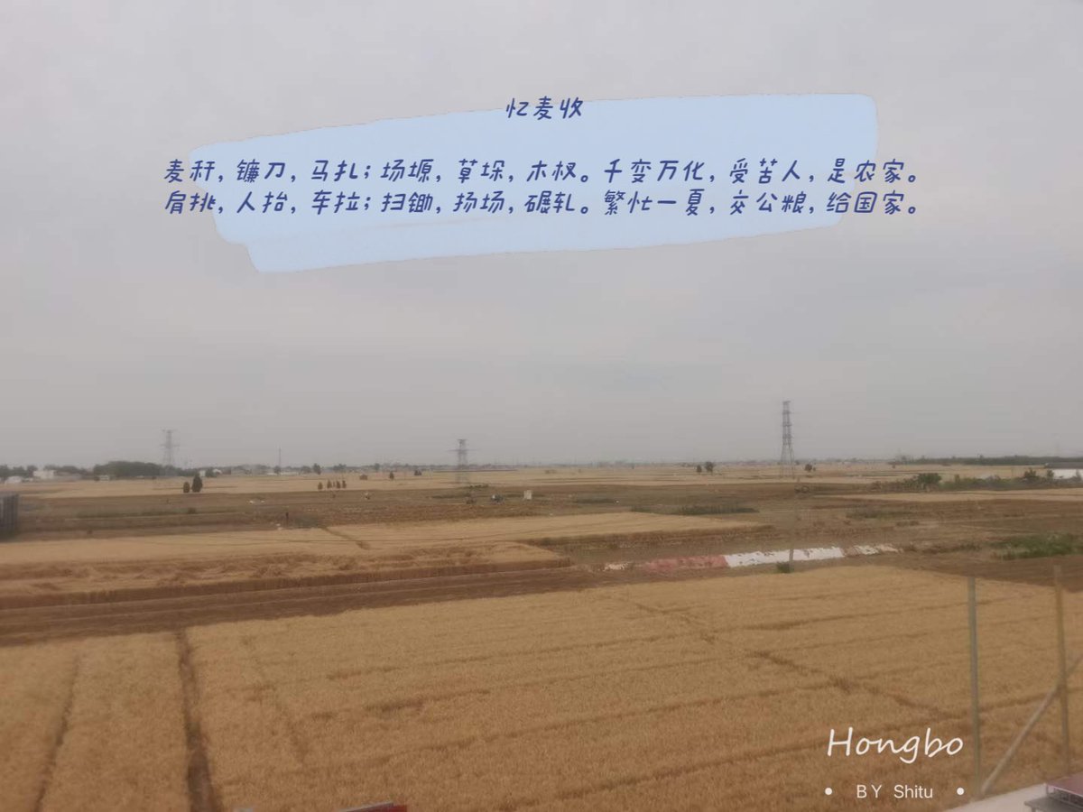 终结者 tweet media