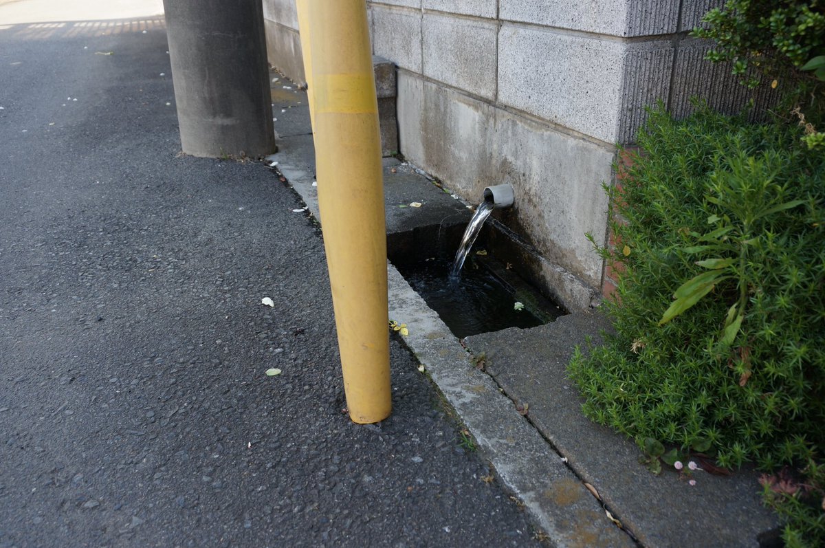 えぬし tweet media