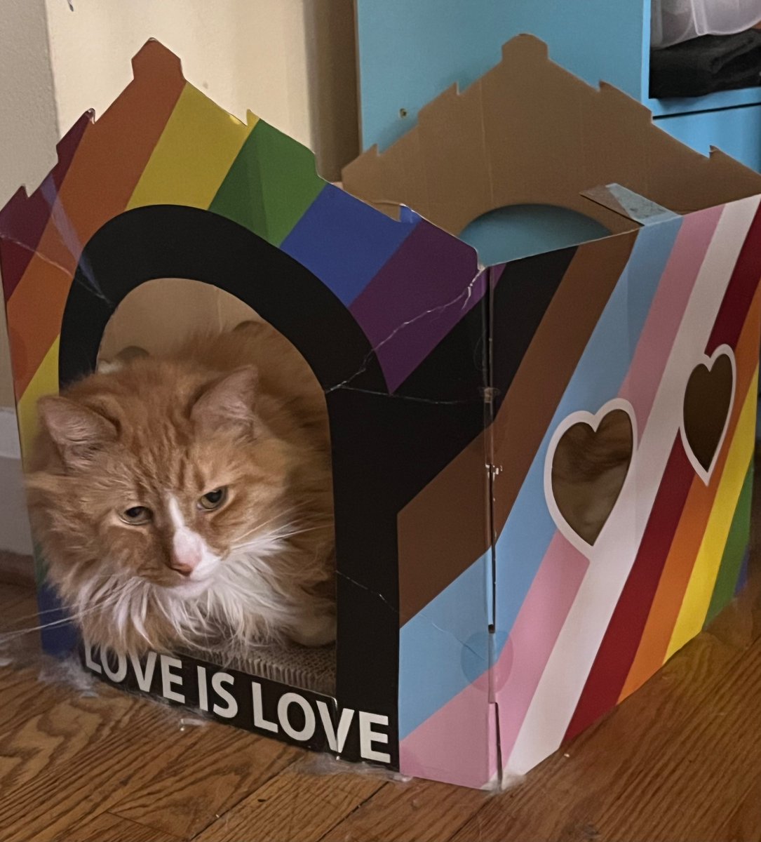 happy pride from me n a lil man obsessed w his gay house

(he will not use it if the roof is on there)