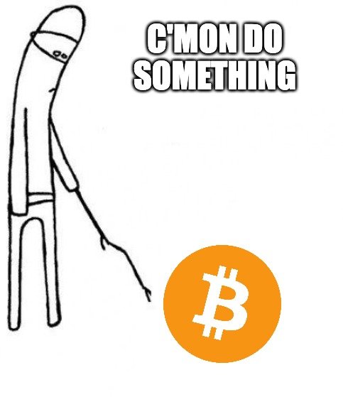 BingX tweet media