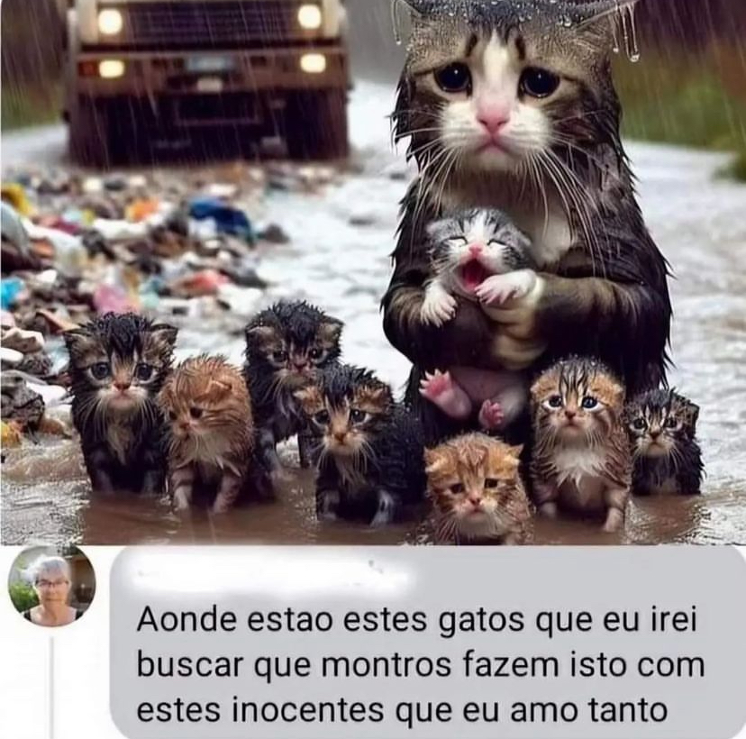 Comentarios melhor que o post tweet media