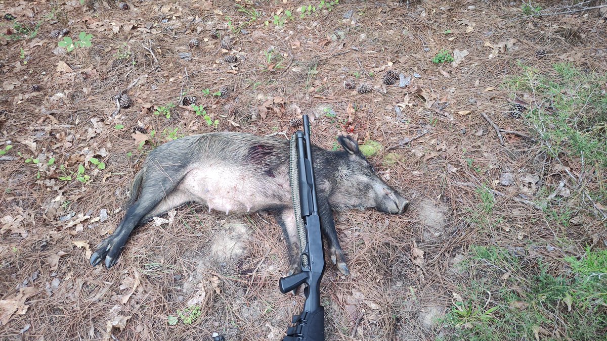 TimYoder17's tweet image. One down 500 to go.