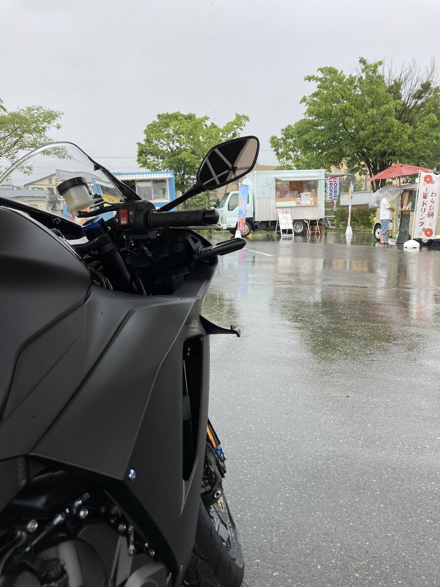 ほーら、雨だよ。