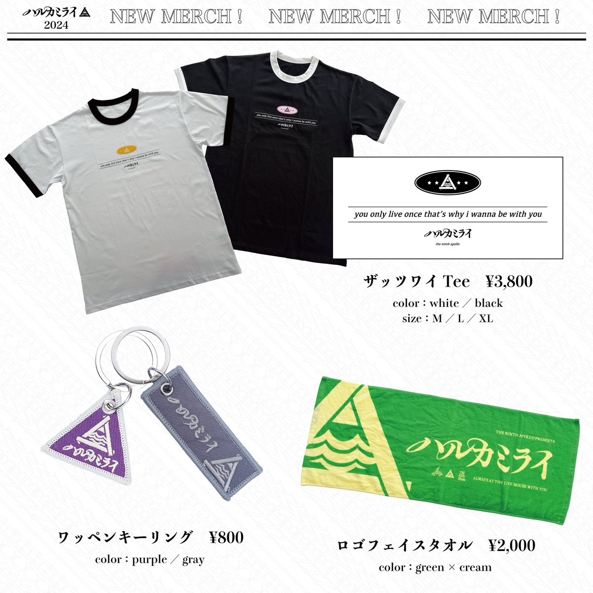 ハルカミライ on X