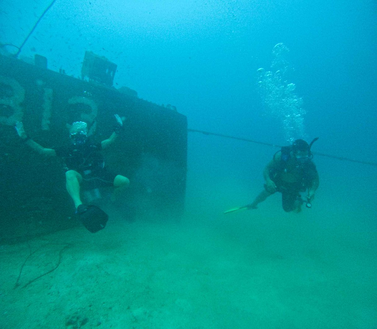 blackturtledive's tweet photo. At Black Turtle Dive we have a selection of PADI Specialty Courses available to enhance your dive trip, and explore areas of interest in your underwater adventures. https://t.co/e8PH5WtBWD #scubadiving #fundiving #kohtao #learning https://t.co/OCPf9saFYv