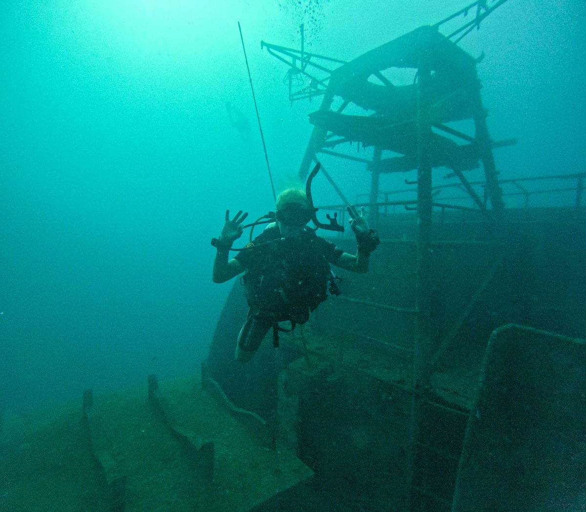 blackturtledive's tweet photo. At Black Turtle Dive we have a selection of PADI Specialty Courses available to enhance your dive trip, and explore areas of interest in your underwater adventures. https://t.co/e8PH5WtBWD #scubadiving #fundiving #kohtao #learning https://t.co/OCPf9saFYv