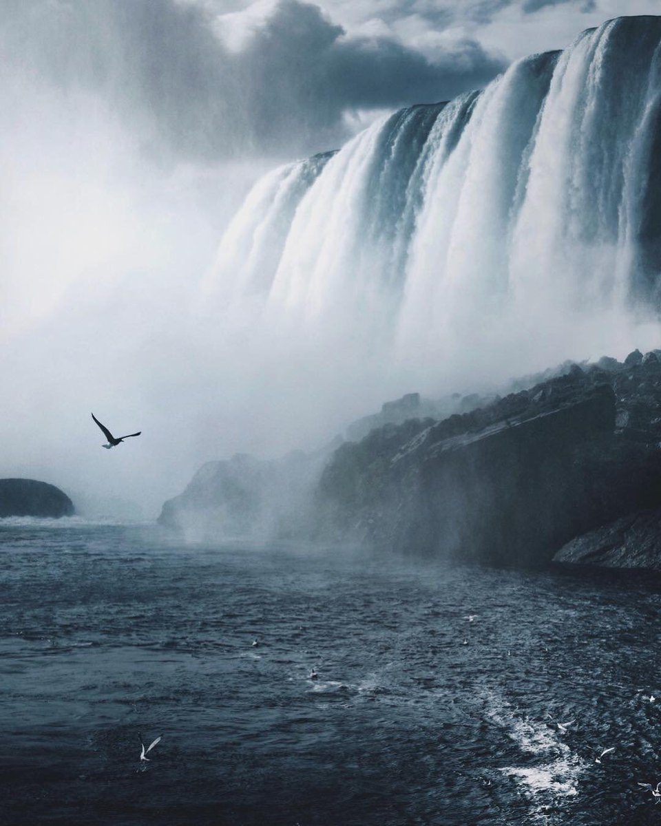 Nirvana Nature tweet media