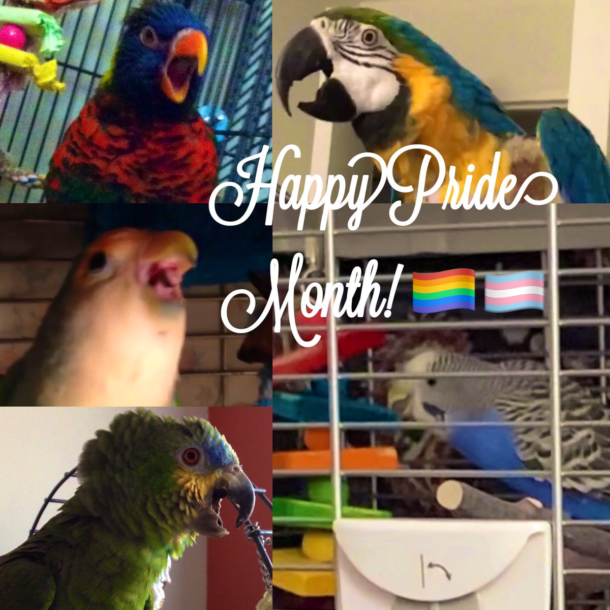 Valeri (@valaleri) on Twitter photo 