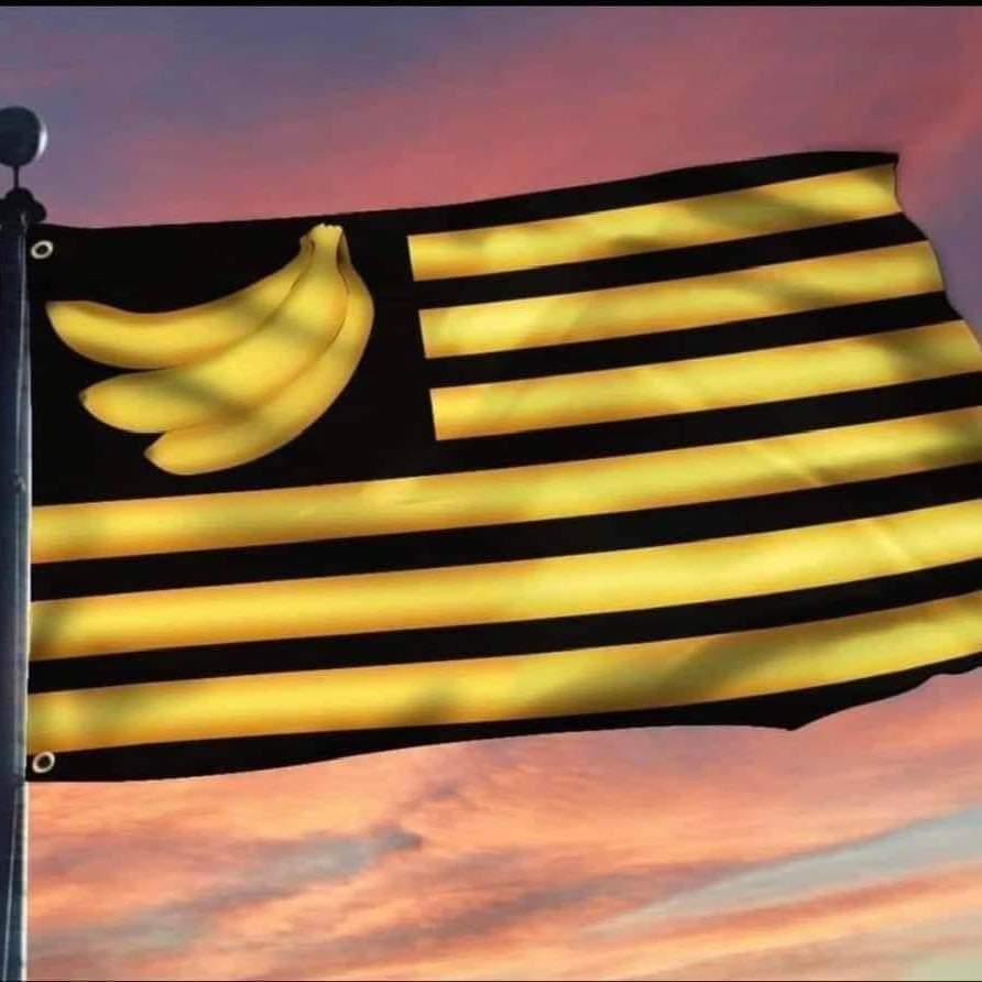 Real_Ames's tweet photo. @CollinRugg This is our new flag. https://t.co/kMQdoEqoz6
