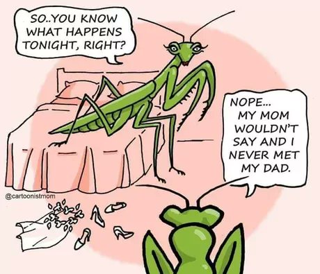 TheGreatWorden's tweet photo. @Mantis_onSOL @IGGYAZALEA $MANTIS needs a $MOTHER https://t.co/caRps1rxgV