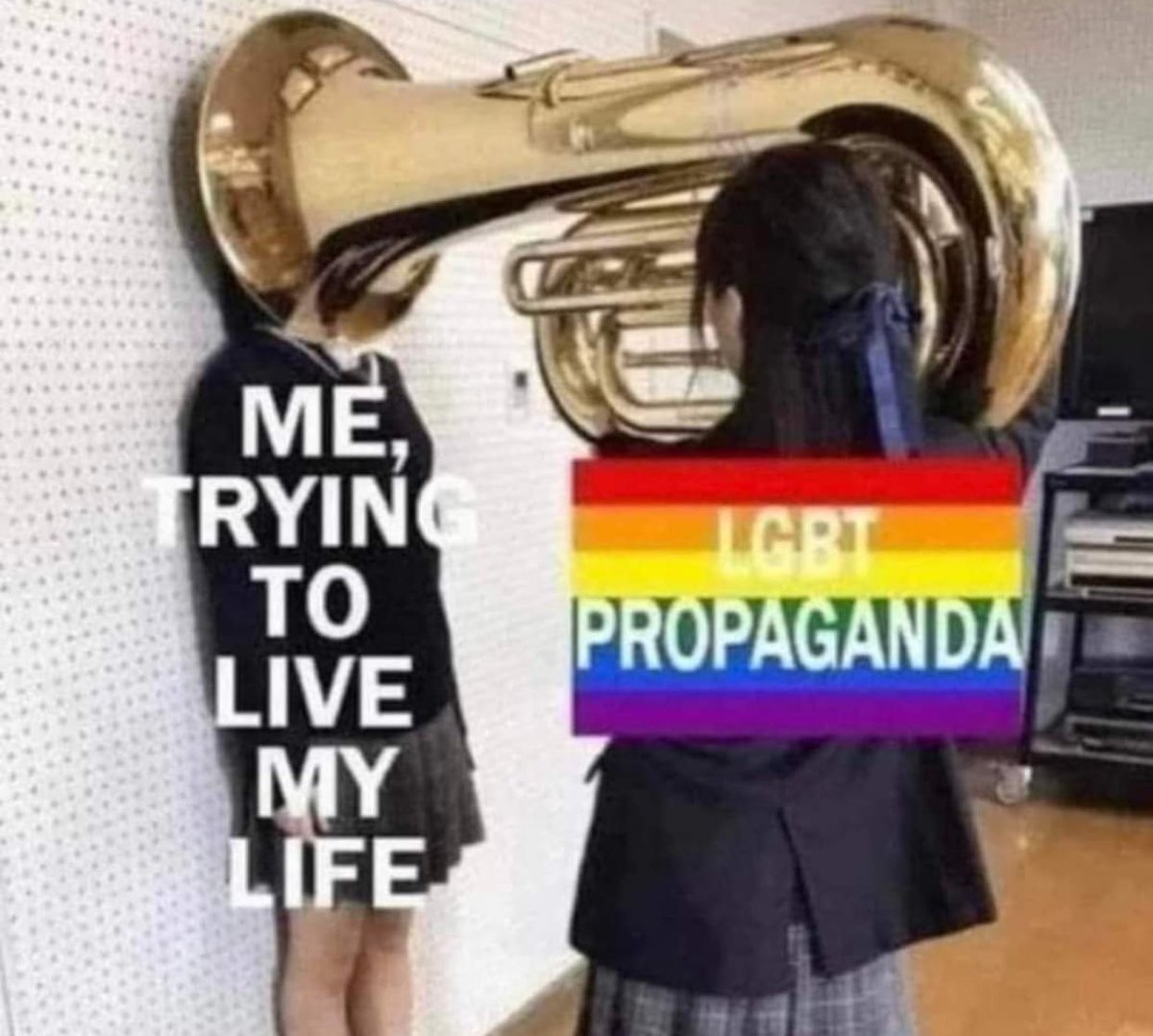 Libs of TikTok tweet media
