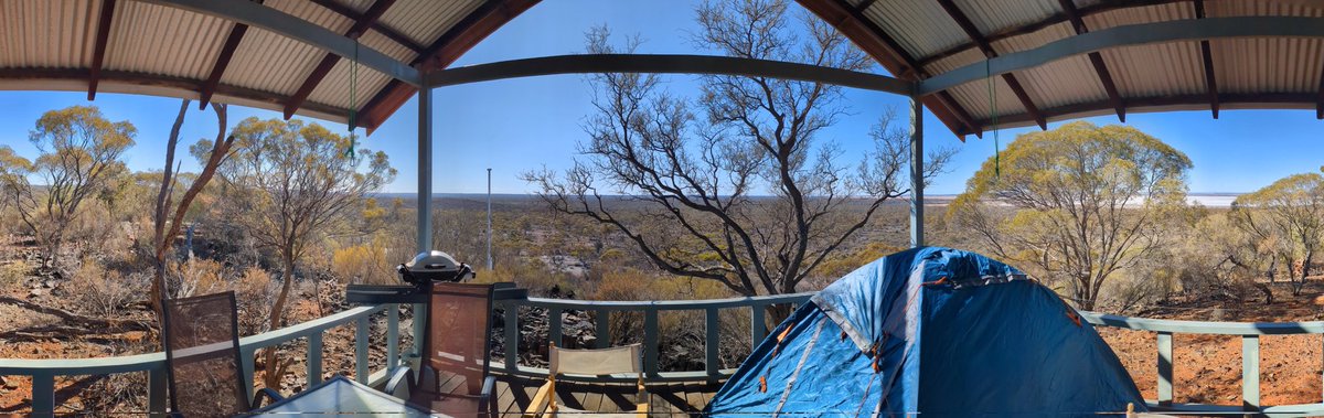 StrongGenderFemme tweet media