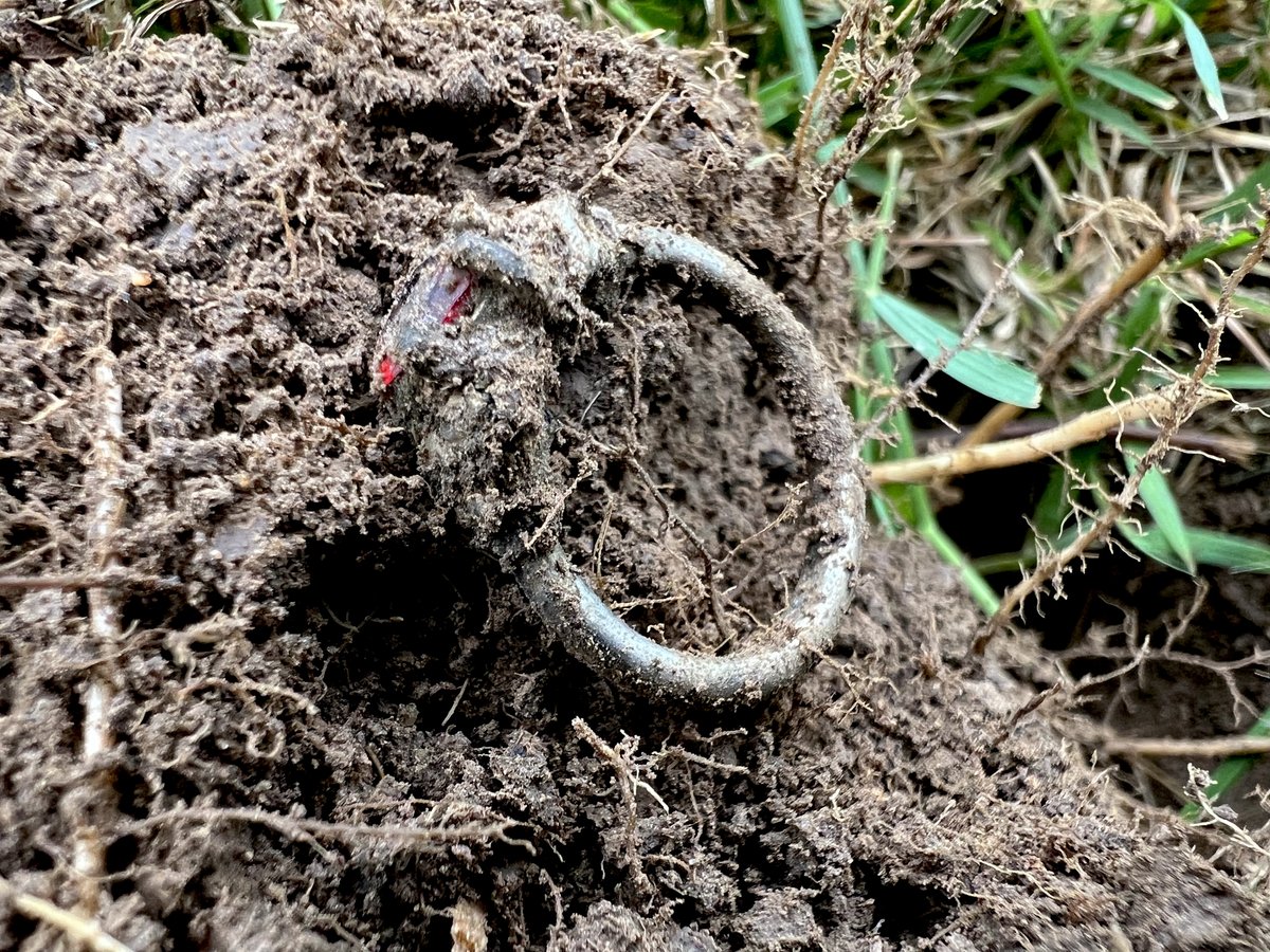 When items are fresh up, your imagination runs wild!