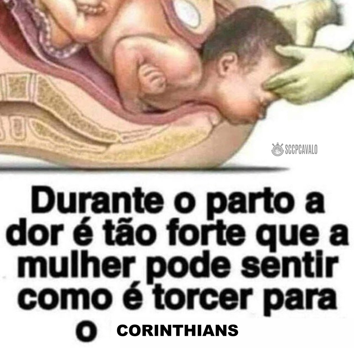 Cavalinho do Corinthians (@sccpcavalo) on Twitter photo 