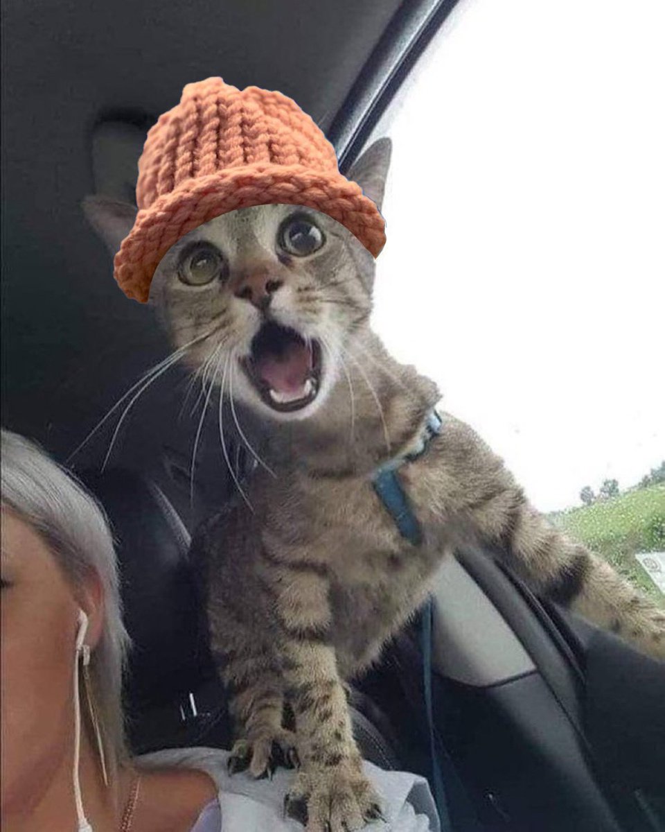 catwifhatsolana's tweet photo. New to $CWIF? The most important update is at the start of May @solscanofficial, @solanafm, @CoinMarketCap, @coingecko, @aveaiofficial, @birdeye_so, @dexscreener, and @DEXToolsApp all added the $CWIF circulating supply remaining ✅. Before that they just showed the max supply 🙀 https://t.co/NF7vPVM3jJ