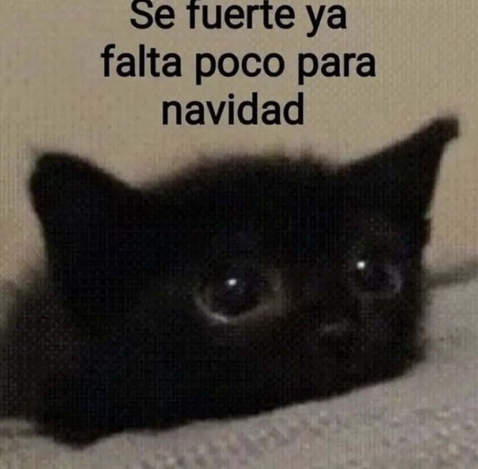 MexicoMagico's tweet photo. https://t.co/jJMQUSwwdM