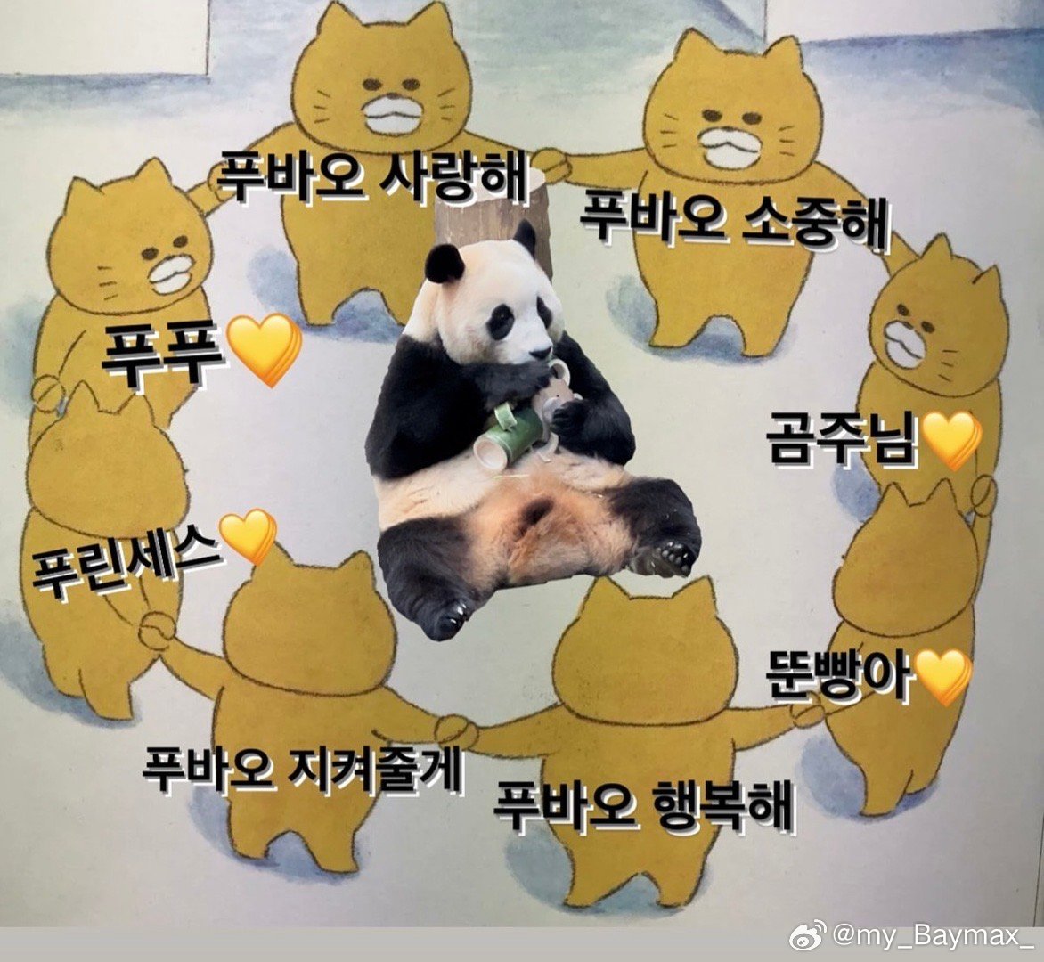 marcella_bao's tweet photo. 우래기 꼭 지켜줄게 https://t.co/06cidL4aQ4