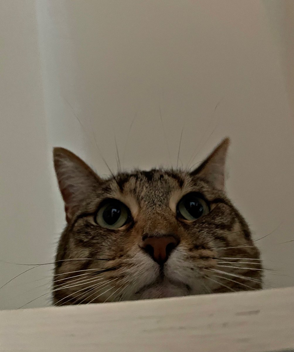 underscore_rob's tweet image. hey