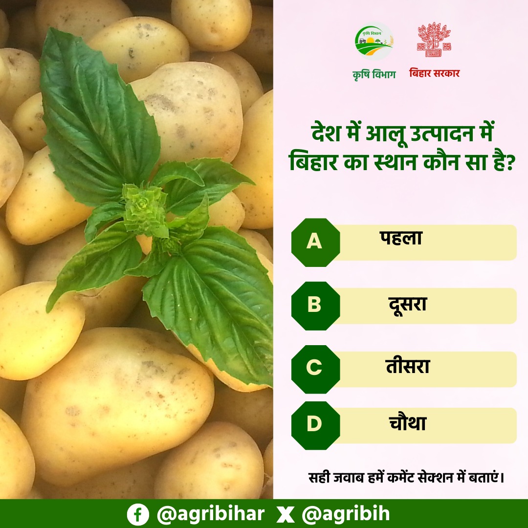 Agribih's tweet image. देश में #आलू उत्पादन में #बिहार का स्थान कौन सा है? @SanjayAgarw_IAS @abhitwittt @HorticultureBih @AgriGoI @biharfoundation @icarindia @BametiBihar @Bau_sabour @Rpcau_pusa @ICAR_IIHR 
#SundayQuiz