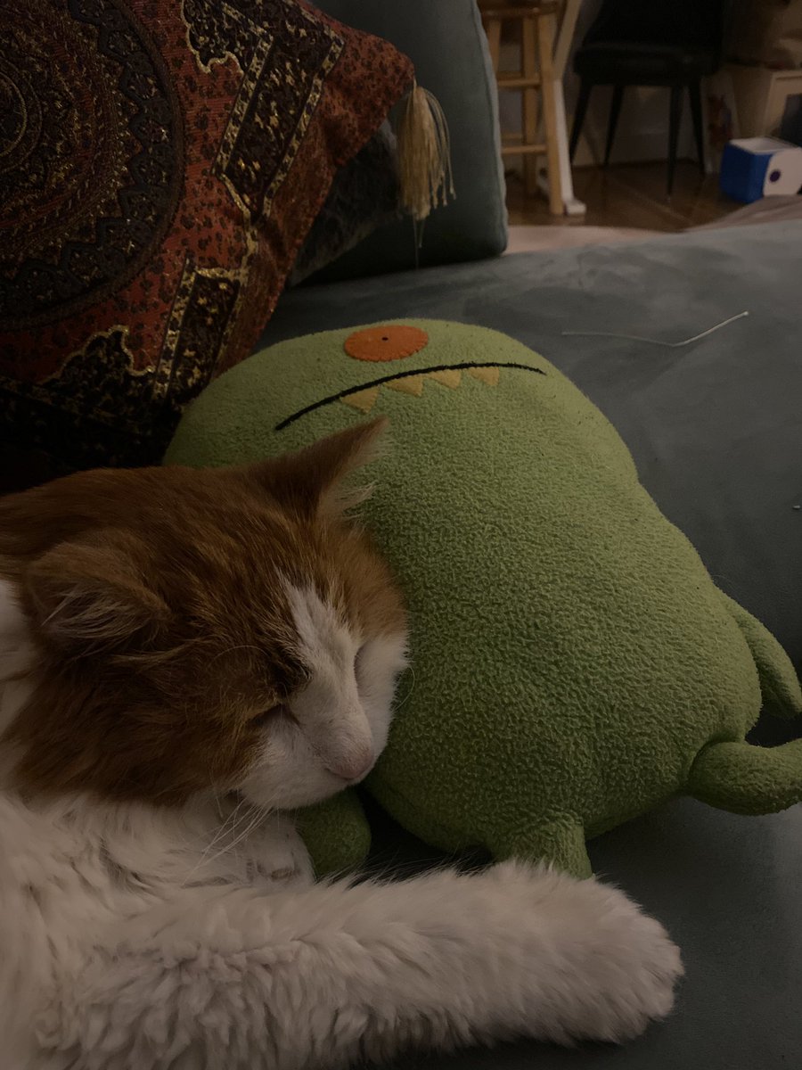 rawra.eth 🫀🦋✨ tweet media