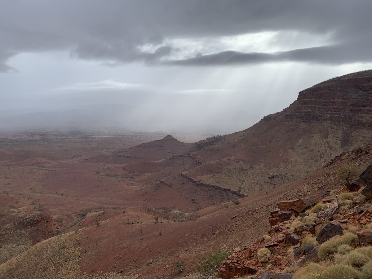 Joe O'Brien tweet media